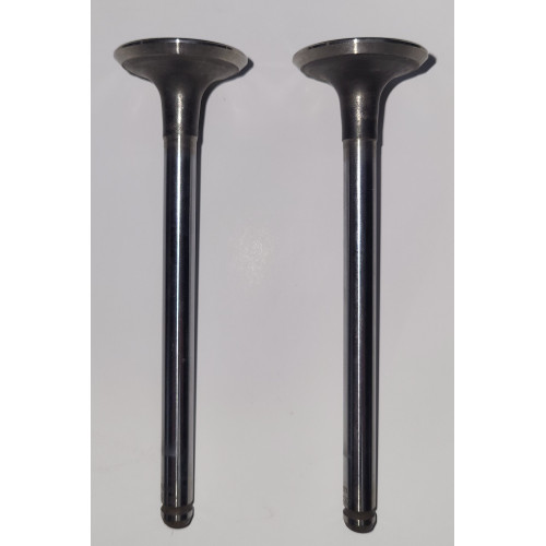 Soupape d'échappement 551364B CORTECO