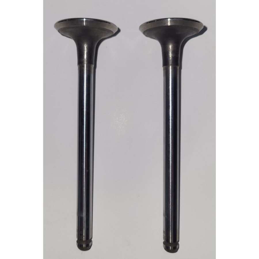 Soupape d'échappement 551364B CORTECO
