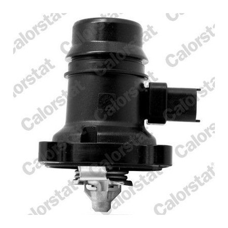 Thermostat d'eau TE7246.103J CALORSTAT BY VERNET