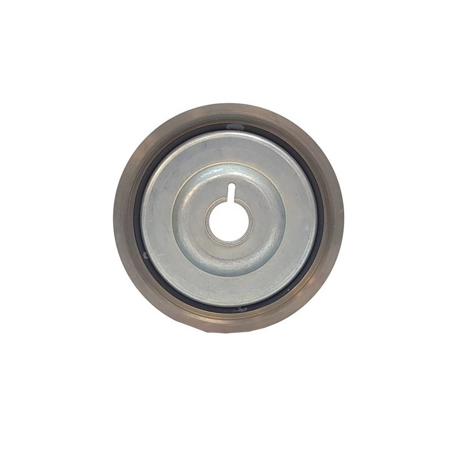 Poulie damper 123031777R RENAULT
