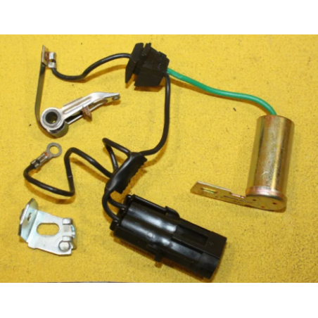 Kit rupteurs / condensateur 582476 DUCELLIER